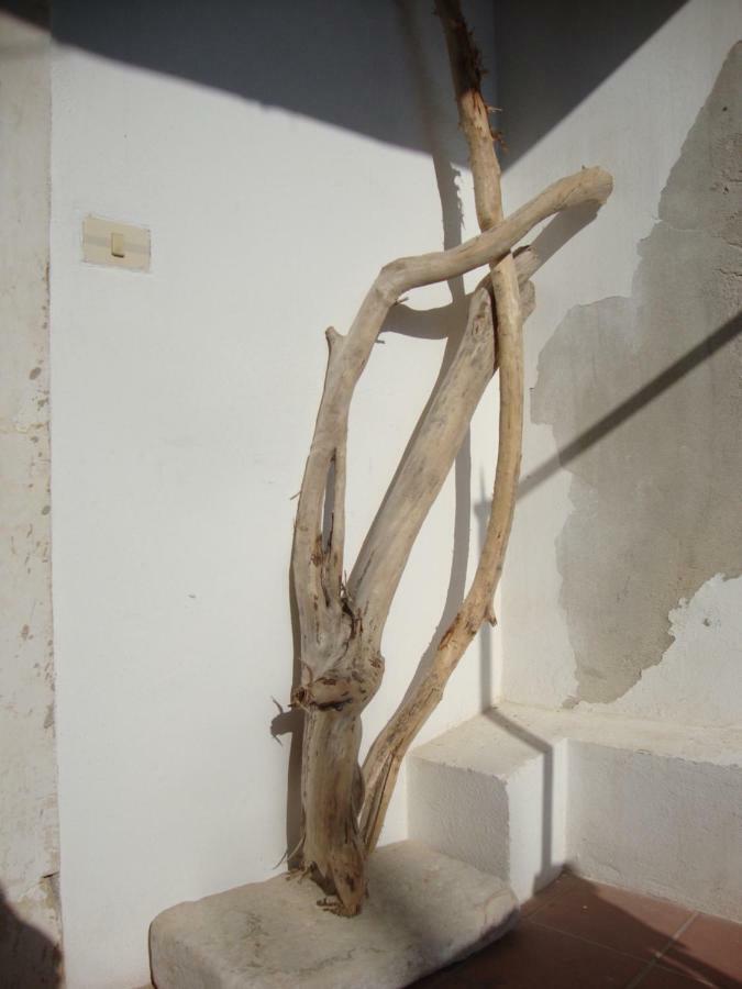 锡拉库扎Il Nido Di Diana In Ortigia公寓 外观 照片